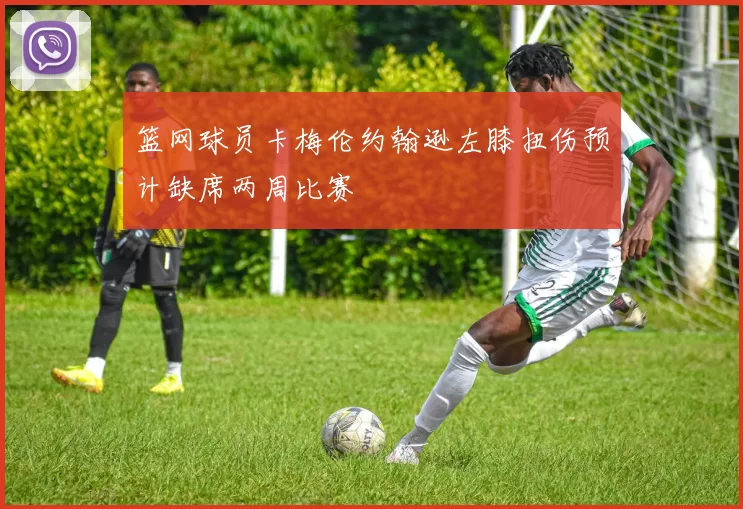 篮网球员卡梅伦约翰逊左膝扭伤预计缺席两周比赛